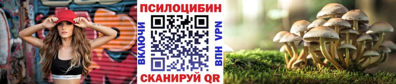 Галлюциногенные грибы прущие грибы  Луза 